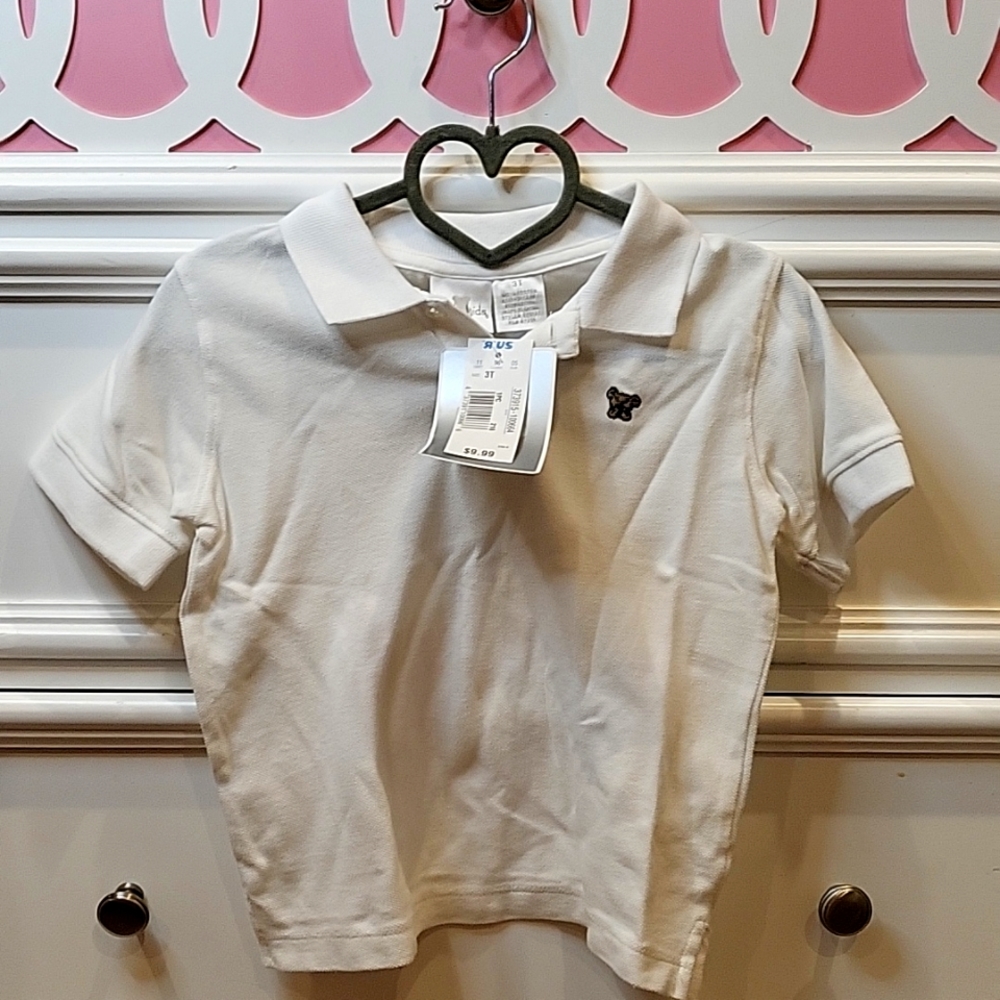 Koala kids while collared shirt